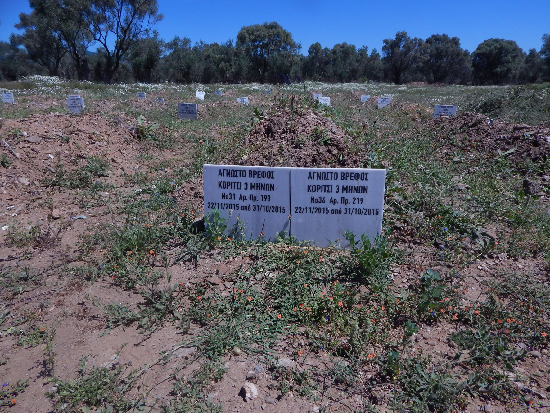 Der Friedhof der Flüchtlinge auf Lesbos. Grab für zwei unbekannte Mädchen. Bild: Michael Bonvalot